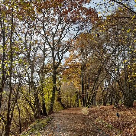 Naturerlebnis Сasa de vacaciones Neunkirchen (Siegerland)